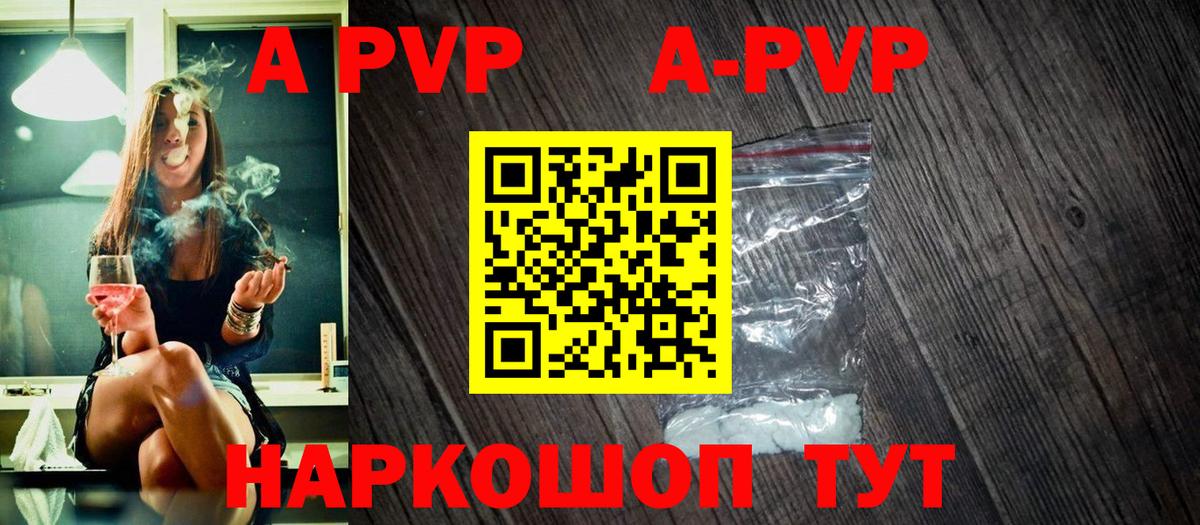 A PVP СК КРИС Петропавловск-Камчатский