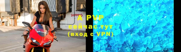 apvp Алексин
