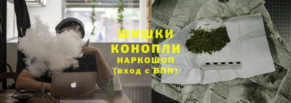 дурь Алзамай