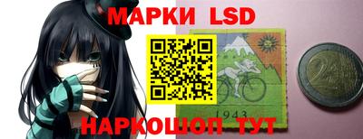 стафф Новозыбков