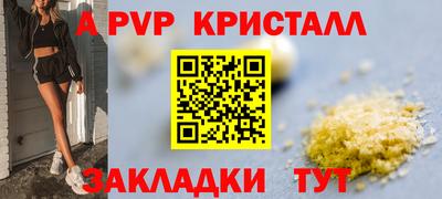 Альфа ПВП Новодвинск