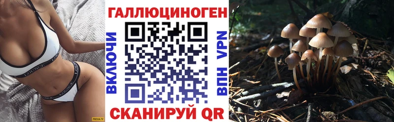 купить закладку MEGA вход Псилоцибиновые грибы прущие грибы Петропавловск-Камчатский