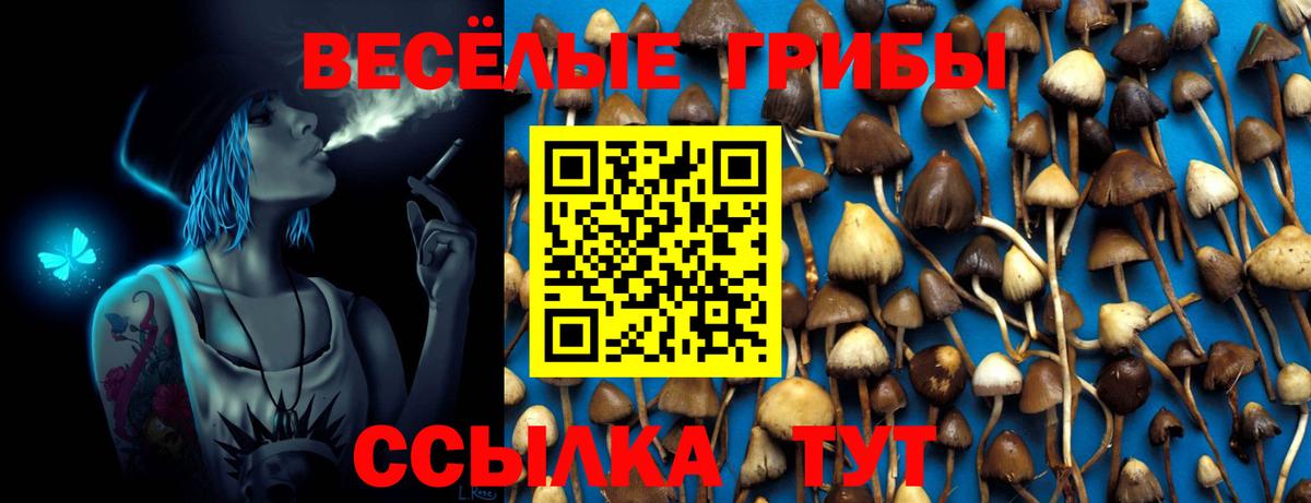 Галлюциногенные грибы GOLDEN TEACHER  Вход с VPN  Петропавловск-Камчатский 