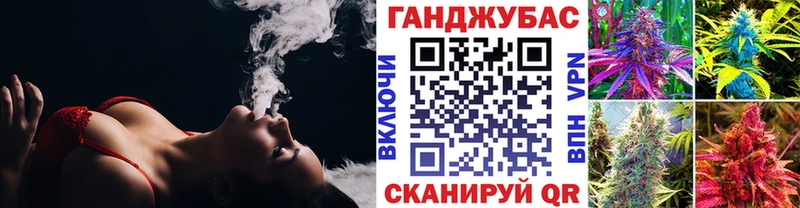 хочу   Петропавловск-Камчатский  OMG зеркало  Конопля Amnesia 